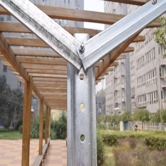 Hot-Dipped Galvanized Grape Vine Post Orchard Vine Supporting Stakes