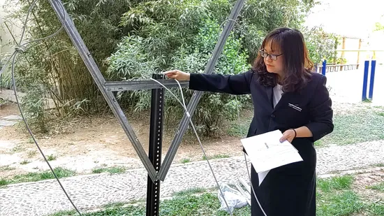 Hot-Dipped Galvanized Grape Vine Post Orchard Vine Supporting Stakes