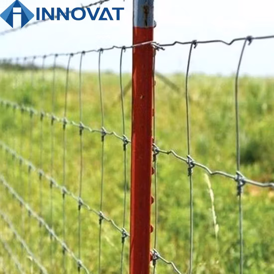 Garden Fence T Post Painted or Hot-DIP Galvanized Farm Used Galvanized Steel Y Fence Post/Star Picket/Studded T Post Wholesale