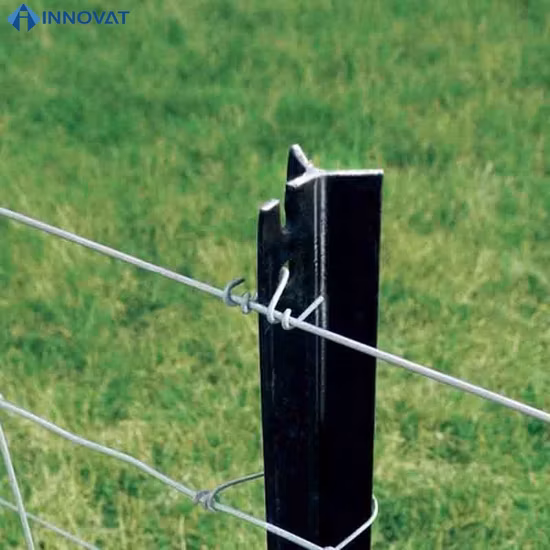 Y Post Hot Galvanized Post PVC Coated Post Fence Panel Post Security Fence Post Paint Star Picket.