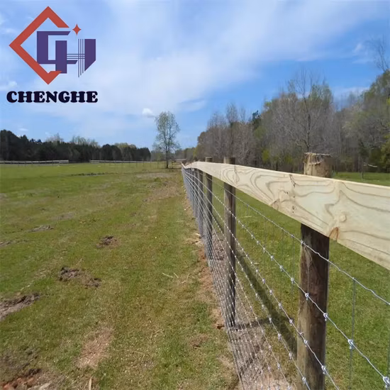 Fence Post Be Used with Steel Wire for Cattle Farm Fencing